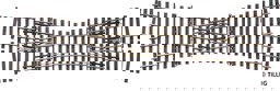 Zeige Details für Tillig 85395 Einfachkreuzungsweiche 15°, Länge 228 mm Bild von Tillig 85395 Einfachkreuzungsweiche 15°, Länge 228 mm