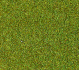 Zeige Details für Heki 30800 Wiesengrasmatte hellgrün, 3mm, 40x24 cm, 2 Stck. Bild von Heki 30800 Wiesengrasmatte hellgrün, 3mm, 40x24 cm, 2 Stck.