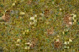 Show details for Noch 08360 Streugras Steinige Bergwiese, 2,5 mm, 20gr. Picture of Noch 08360 Streugras Steinige Bergwiese, 2,5 mm, 20gr.