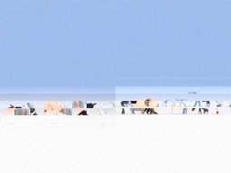 Zeige Details für Noch 15711 H0 Tiere auf dem Bauernhof Bild von Noch 15711 H0 Tiere auf dem Bauernhof