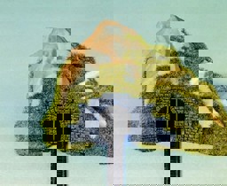 Zeige Details für Noch 44420 Tunnel-Portal, 1-gleisig, 9 x 4 cm Bild von Noch 44420 Tunnel-Portal, 1-gleisig, 9 x 4 cm