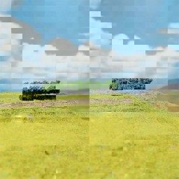 Zeige Details für Faller 181356 H0, TT, N 4 PREMIUM Hecken, hellgrün Bild von Faller 181356 H0, TT, N 4 PREMIUM Hecken, hellgrün