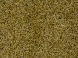Zeige Details für Noch 07101 Wildgras, beige, 6 mm, 50gr. Bild von Noch 07101 Wildgras, beige, 6 mm, 50gr.