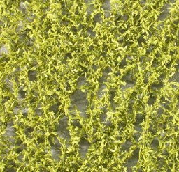 Zeige Details für Silhouette 94021 Trauerweidenlaub, Frühling Bild von Silhouette 94021 Trauerweidenlaub, Frühling