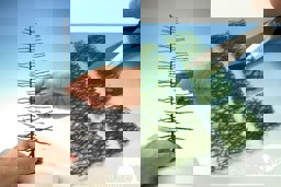 Zeige Details für Silhouette 57332 H0 Bausatz Fichte Grün, Sommer Bild von Silhouette 57332 H0 Bausatz Fichte Grün, Sommer