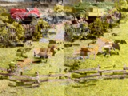 Zeige Details für Noch 33030 N Weidezaun Bild von Noch 33030 N Weidezaun
