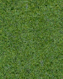Zeige Details für Heki 1871 Wildgrasmatte Waldboden, 40x24 cm, 2 Stück Bild von Heki 1871 Wildgrasmatte Waldboden, 40x24 cm, 2 Stück