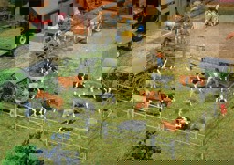 Zeige Details für Faller 180434 H0 Boxen- und Laufhof-Zaunsysteme, 2000 mm (2 x 1000 mm) Bild von Faller 180434 H0 Boxen- und Laufhof-Zaunsysteme, 2000 mm (2 x 1000 mm)