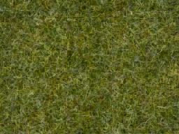 Show details for Noch 07072 Master-Grasmischung Sommerwiese, 2,5 bis 6 mm 50gr. Picture of Noch 07072 Master-Grasmischung Sommerwiese, 2,5 bis 6 mm 50gr.