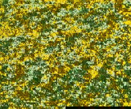Zeige Details für Faller 180463 H0, TT, N PREMIUM Landschafts-Segment, Rapsfeld Bild von Faller 180463 H0, TT, N PREMIUM Landschafts-Segment, Rapsfeld