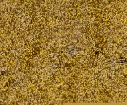 Zeige Details für Faller 180466 H0, TT, N PREMIUM Landschafts-Segment, Getreidefeld Bild von Faller 180466 H0, TT, N PREMIUM Landschafts-Segment, Getreidefeld