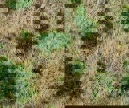 Zeige Details für Faller 180474 H0, TT, N PREMIUM Landschafts-Segment, Bahndamm/Böschung Bild von Faller 180474 H0, TT, N PREMIUM Landschafts-Segment, Bahndamm/Böschung
