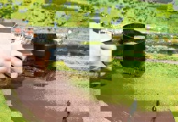 Zeige Details für Faller 180691 H0, TT, N, Z Begrasungsgerät Gras-Fix Bild von Faller 180691 H0, TT, N, Z Begrasungsgerät Gras-Fix