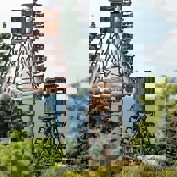 Zeige Details für Busch 1496 Hochsitz H0 Bild von Busch 1496 Hochsitz H0