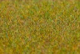 Zeige Details für Faller 180484 H0, TT, N PREMIUM Streufasern Wiese, hellgrün, 6 mm, 30 g Bild von Faller 180484 H0, TT, N PREMIUM Streufasern Wiese, hellgrün, 6 mm, 30 g