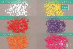 Zeige Details für Silhouette 89829 Blüten lose, Set , 6 Farben Bild von Silhouette 89829 Blüten lose, Set , 6 Farben