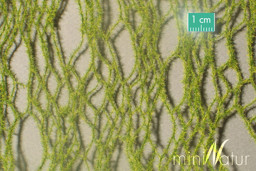 Show details for Silhouette 99023S Schachtelhalme Frühherbst Picture of Silhouette 99023S Schachtelhalme Frühherbst