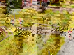 Zeige Details für Noch 14222 Kleiner Steg Bild von Noch 14222 Kleiner Steg