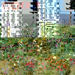 Zeige Details für Busch 1258 Blumen-und Pflanzen-Set H0 Bild von Busch 1258 Blumen-und Pflanzen-Set H0