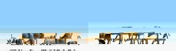Zeige Details für Noch 36722 Kühe, dunkelbraun Bild von Noch 36722 Kühe, dunkelbraun