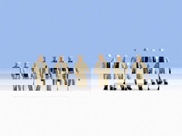 Zeige Details für Noch 15042 Bergarbeiter Bild von Noch 15042 Bergarbeiter