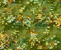 Zeige Details für Faller 180467 H0, TT, N PREMIUM Landschafts-Segment, Blumenwiese, bunt Bild von Faller 180467 H0, TT, N PREMIUM Landschafts-Segment, Blumenwiese, bunt