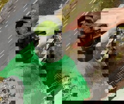Zeige Details für Faller 170680 H0, TT, N, Z Wechselaufsatz Gras-Fix Bild von Faller 170680 H0, TT, N, Z Wechselaufsatz Gras-Fix