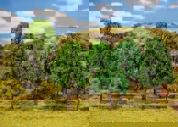 Zeige Details für Faller 181477 H0, TT, N 20 Mischwaldbäume, sortiert Bild von Faller 181477 H0, TT, N 20 Mischwaldbäume, sortiert