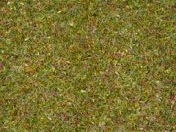 Zeige Details für Noch 08155 Streugras Blumenwiese, 2,5 mm, 120gr. Bild von Noch 08155 Streugras Blumenwiese, 2,5 mm, 120gr.