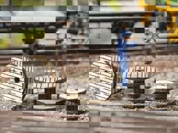Zeige Details für Noch 14638 Kabelrollen Bild von Noch 14638 Kabelrollen
