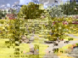 Zeige Details für Noch 21765 Baum mit Baumhaus Bild von Noch 21765 Baum mit Baumhaus