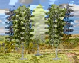 Zeige Details für Faller 181411 H0, TT, N 3 Buchen Bild von Faller 181411 H0, TT, N 3 Buchen