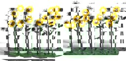 Show details for Busch 1240 24 Sonnenblumen H0 Picture of Busch 1240 24 Sonnenblumen H0