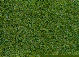 Zeige Details für Heki 1573 HEKI decovlies Wildgras, Moorboden 28x14 cm Bild von Heki 1573 HEKI decovlies Wildgras, Moorboden 28x14 cm