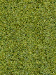 Zeige Details für Heki 1576 HEKI decovlies Wildgras, Waldboden 28x14 cm Bild von Heki 1576 HEKI decovlies Wildgras, Waldboden 28x14 cm