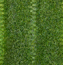 Zeige Details für Heki 1577 HEKI decovlies Wildgras, dunkelgrün 28x14 cm Bild von Heki 1577 HEKI decovlies Wildgras, dunkelgrün 28x14 cm
