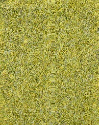 Zeige Details für Heki 3367 Grasfaser Willdgras wiesengrün, 75 g, 5-6 mm Bild von Heki 3367 Grasfaser Willdgras wiesengrün, 75 g, 5-6 mm