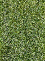 Zeige Details für Heki 3369 Grasfaser Wildgras dunkelgrün, 75 g, 5-6 mm Bild von Heki 3369 Grasfaser Wildgras dunkelgrün, 75 g, 5-6 mm