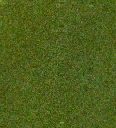 Zeige Details für Heki 30911 Grasmatte dunkelgrün, 75x100 cm Bild von Heki 30911 Grasmatte dunkelgrün, 75x100 cm