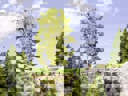 Zeige Details für Noch 21641 Doppelstämmige Birke, 19 cm hoch Bild von Noch 21641 Doppelstämmige Birke, 19 cm hoch