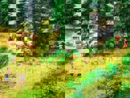 Zeige Details für Noch 07460 Heuballen H0 Bild von Noch 07460 Heuballen H0