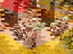 Zeige Details für Noch 13216 Blumenkohl H0 Bild von Noch 13216 Blumenkohl H0