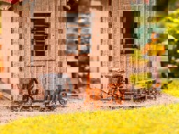 Zeige Details für Noch 13724 Rübenernte-Set H0 Bild von Noch 13724 Rübenernte-Set H0