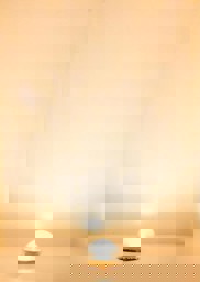 Zeige Details für Faller 180667 H0, TT, N, Z LED-Beleuchtungssockel, warm weiß Bild von Faller 180667 H0, TT, N, Z LED-Beleuchtungssockel, warm weiß