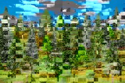 Zeige Details für Faller 181536 H0, TT 50 Mischwaldbäume, sortiert Bild von Faller 181536 H0, TT 50 Mischwaldbäume, sortiert