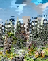 Zeige Details für Faller 130285 H0 Ruine Bild von Faller 130285 H0 Ruine