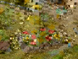 Zeige Details für Noch 13223 Rosenbeet H0 Bild von Noch 13223 Rosenbeet H0
