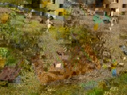 Zeige Details für Noch 13225 Bohnenranken H0 Bild von Noch 13225 Bohnenranken H0