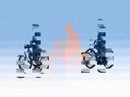 Show details for Noch 17871 Radfahrerin 0 Picture of Noch 17871 Radfahrerin 0