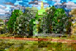 Zeige Details für Faller 181524 H0, TT 15 Laubbäume, sortiert Bild von Faller 181524 H0, TT 15 Laubbäume, sortiert